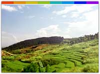 A Scenic Landscape in Bishnupur Manipur