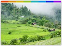 The Green Town - Ukhrul Manipur