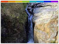 Bishop Waterfall Meghalaya