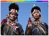 Nagaland Tribes, Tribes of Nagaland